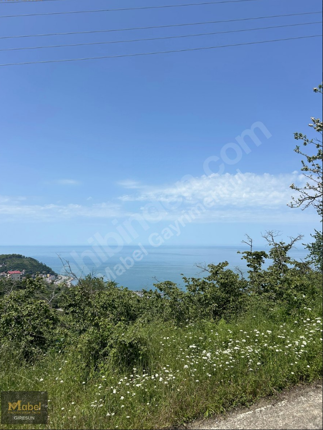 KAVAKLAR MH DENİZ MANZARALI ARSALAR